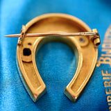 18K French Victorian Diamond & Sapphire Floral Insect Bug Horseshoe Brooch