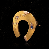 18K French Victorian Diamond & Sapphire Floral Insect Bug Horseshoe Brooch